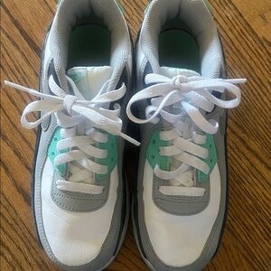 Light blue and white Nike Air Max Dunks